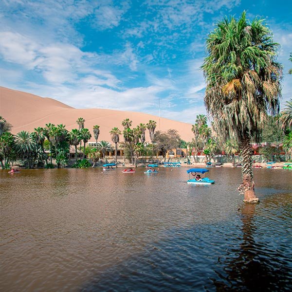 Paracas, Huacachina e Islas Ballestas