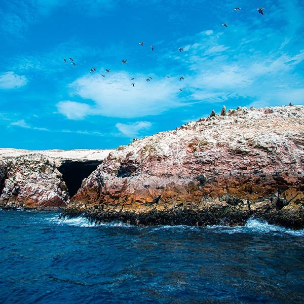 Paracas, Huacachina e Islas Ballestas