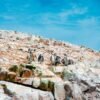Paracas, Huacachina e Islas Ballestas